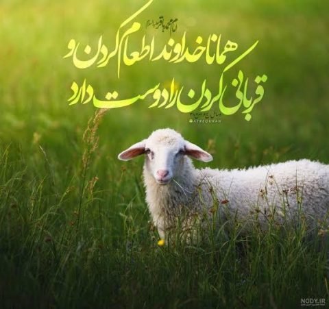 hama-eid-qurban